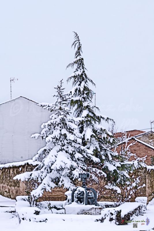 Nieve sobre la noria.jpg